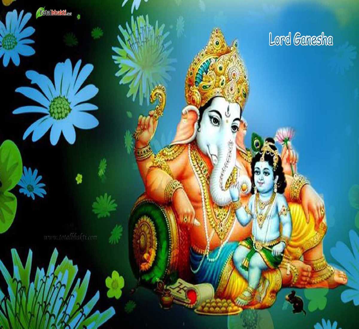 kaapu — adapala venkateswara